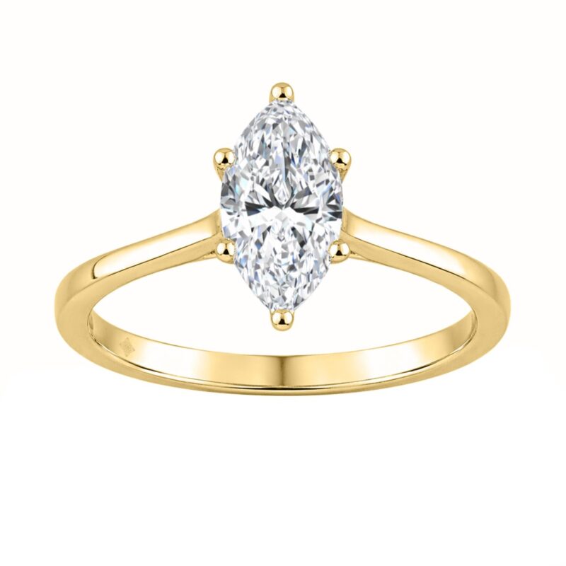 19241095 EC 143197Y 1214x1214